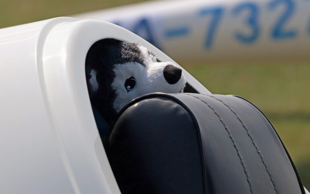 Megnyílt a nevezés!